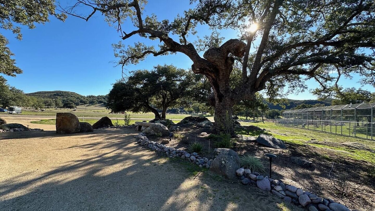 Photo of Outdoor in Alpine