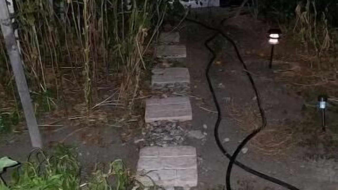 Photo of Outdoor in North Hollywood