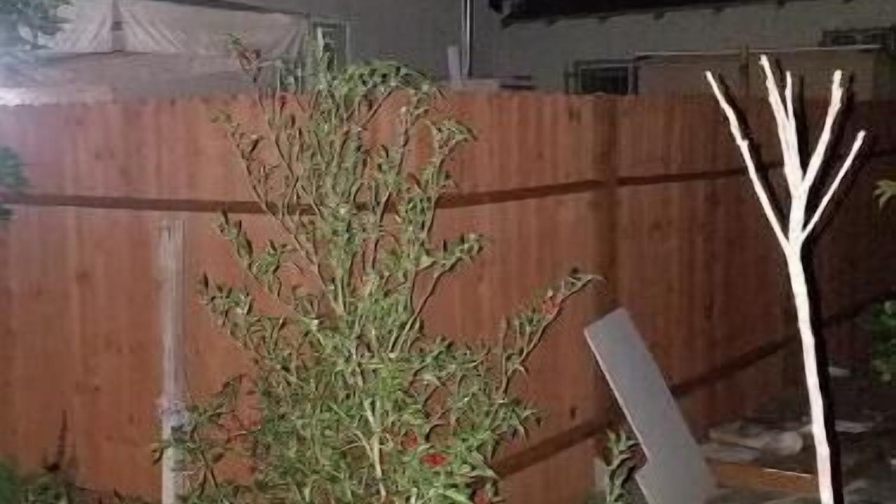 Photo of Outdoor in North Hollywood