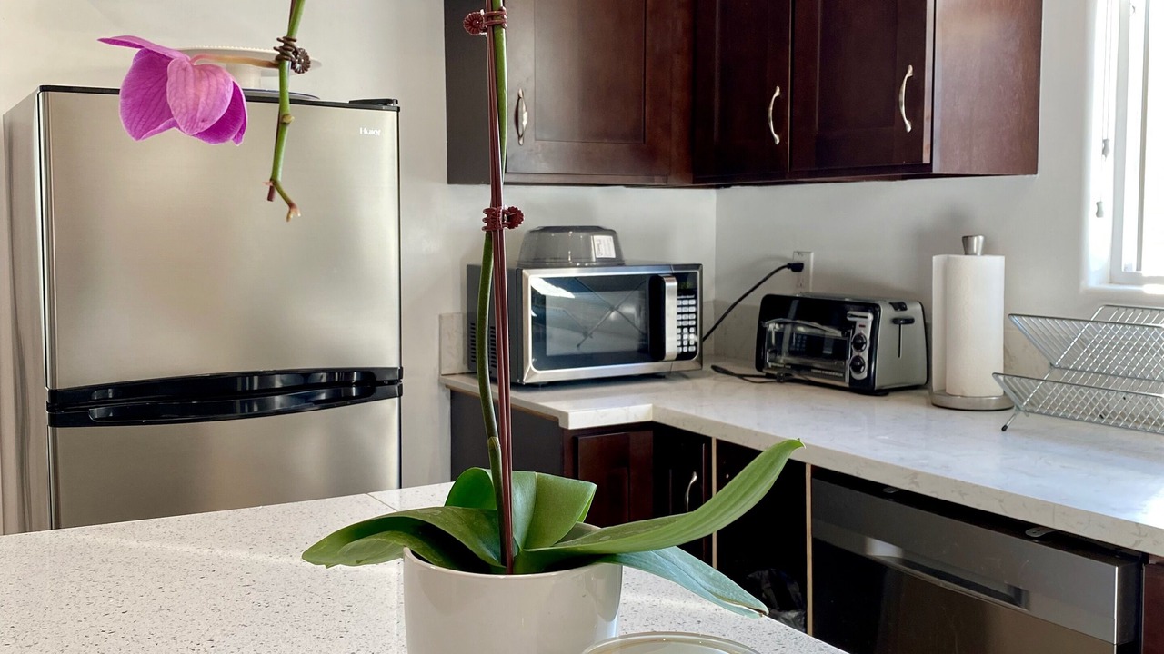 Photo of Kitchen in Midway City