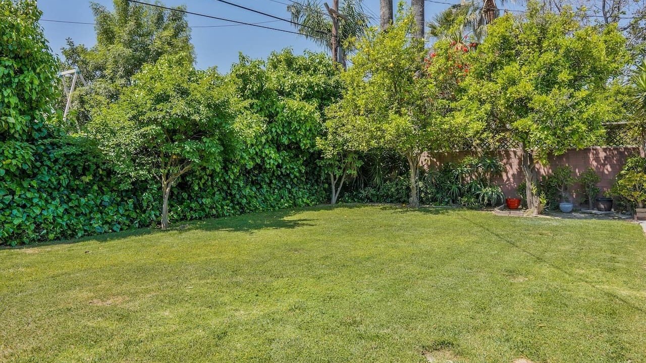 Photo of Outdoor in Valley Glen