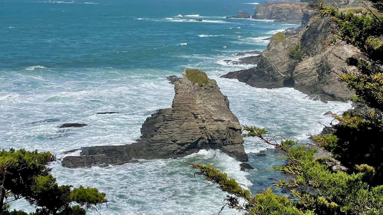 Photo of Others in Gualala