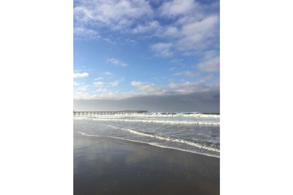 Photo of Others in South Mission Beach