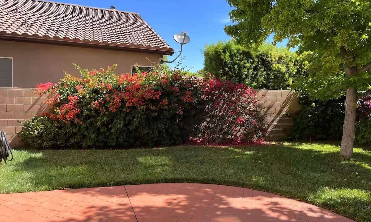Photo of Outdoor in Eastvale