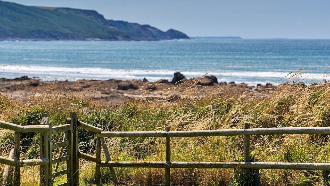 Photo of Others in Widemouth Bay