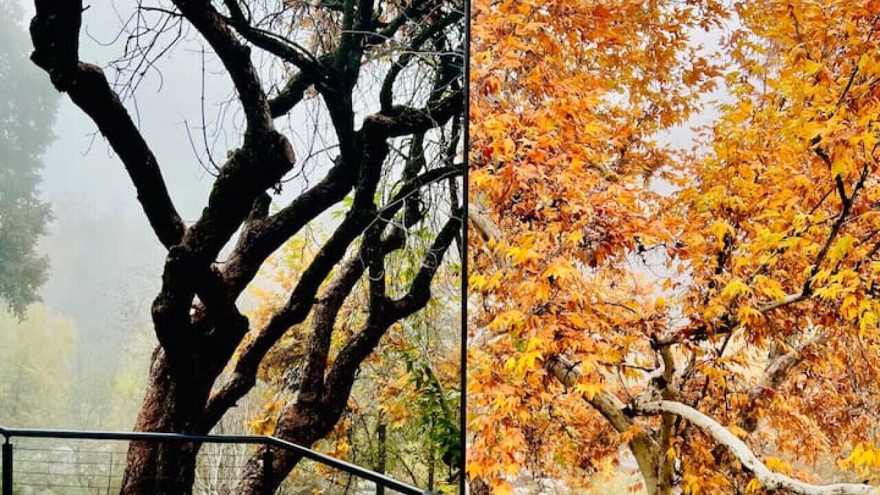 Photo of Outdoor in Three Rivers