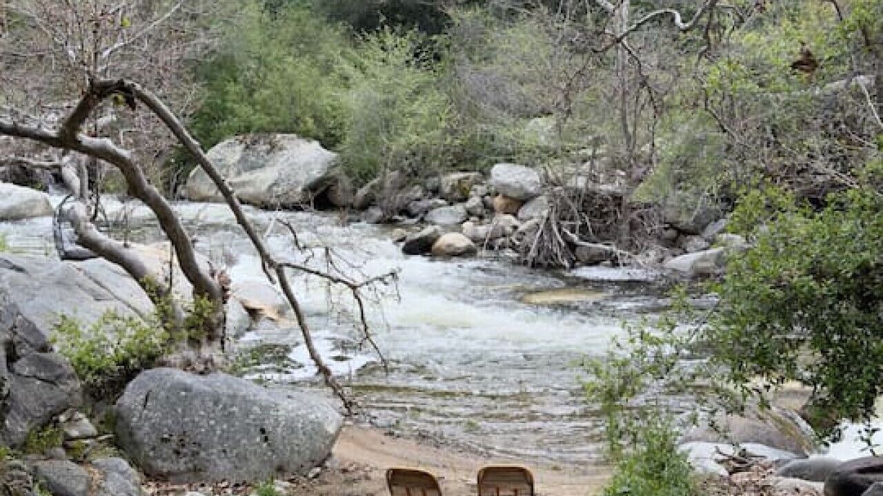 Photo of Others in Three Rivers