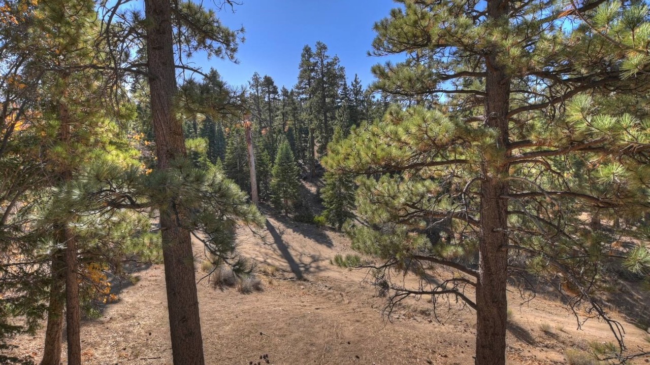 Photo of Outdoor in Upper Moonridge