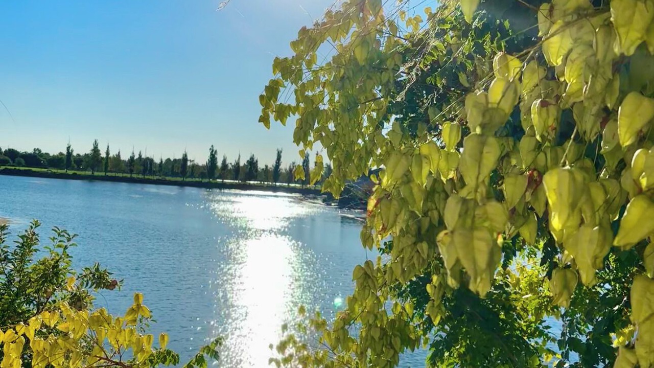 Photo of Others in Laguna West-Lakeside