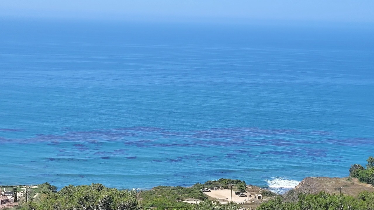 Photo of Others in Western Malibu