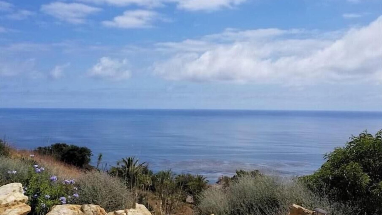 Photo of Others in Western Malibu