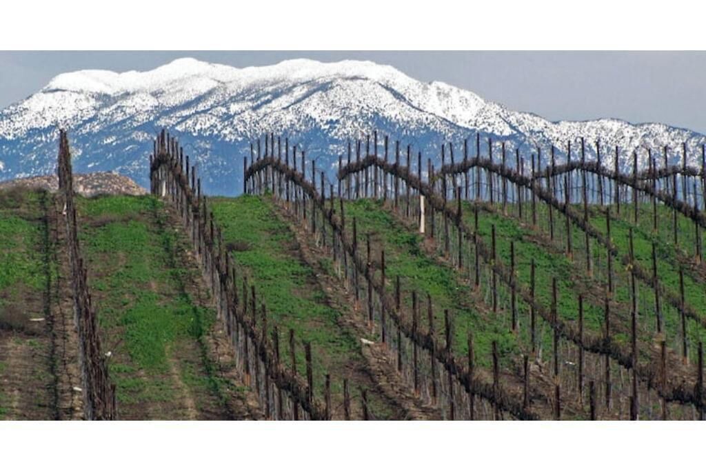 Photo of Others in Temecula