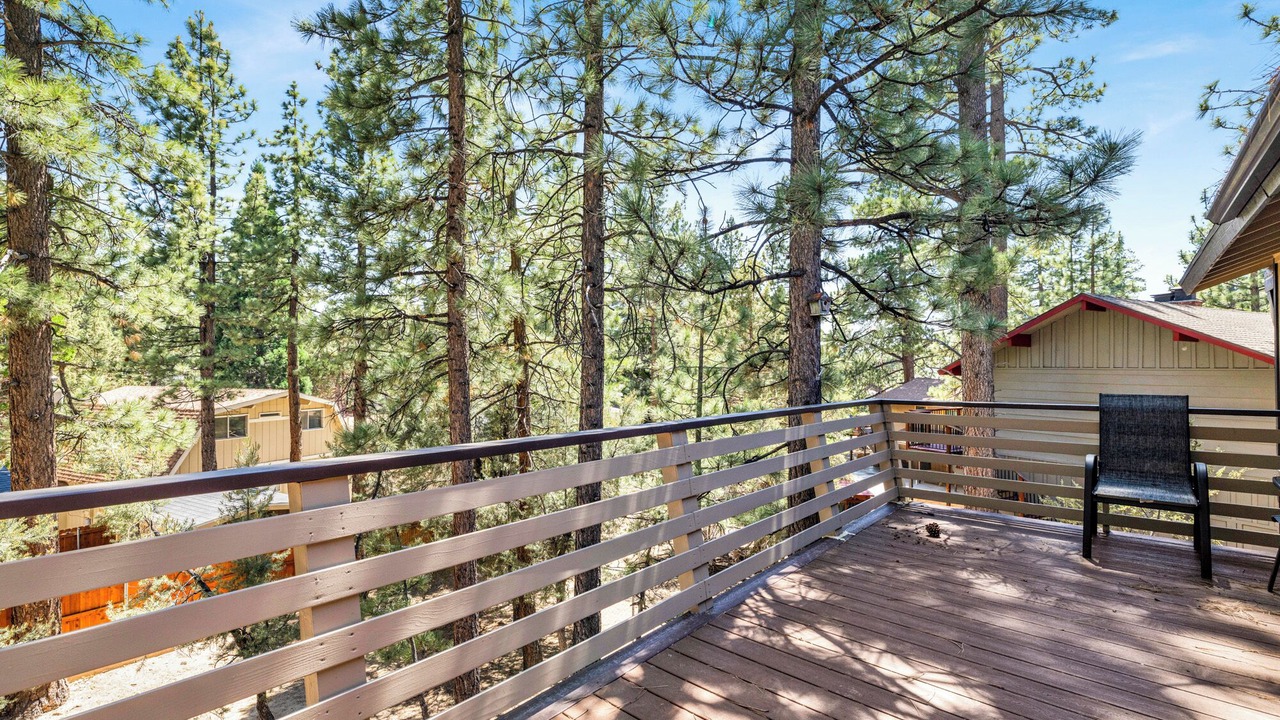 Photo of Outdoor in Whispering Forest