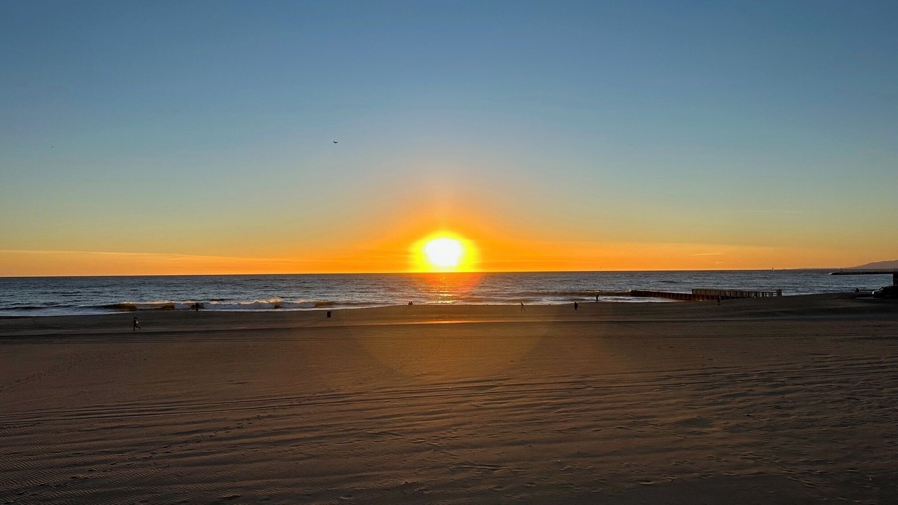 Photo of Others in Playa Del Rey