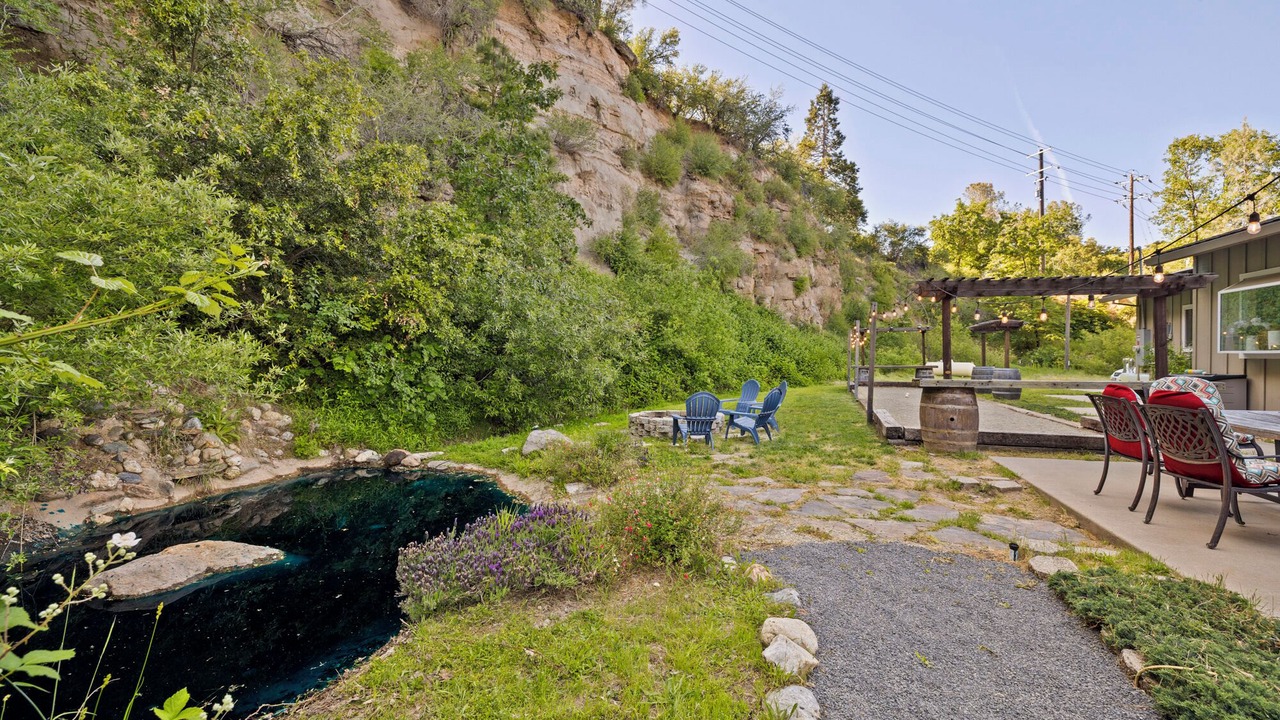 Photo of Outdoor in Forest Meadows