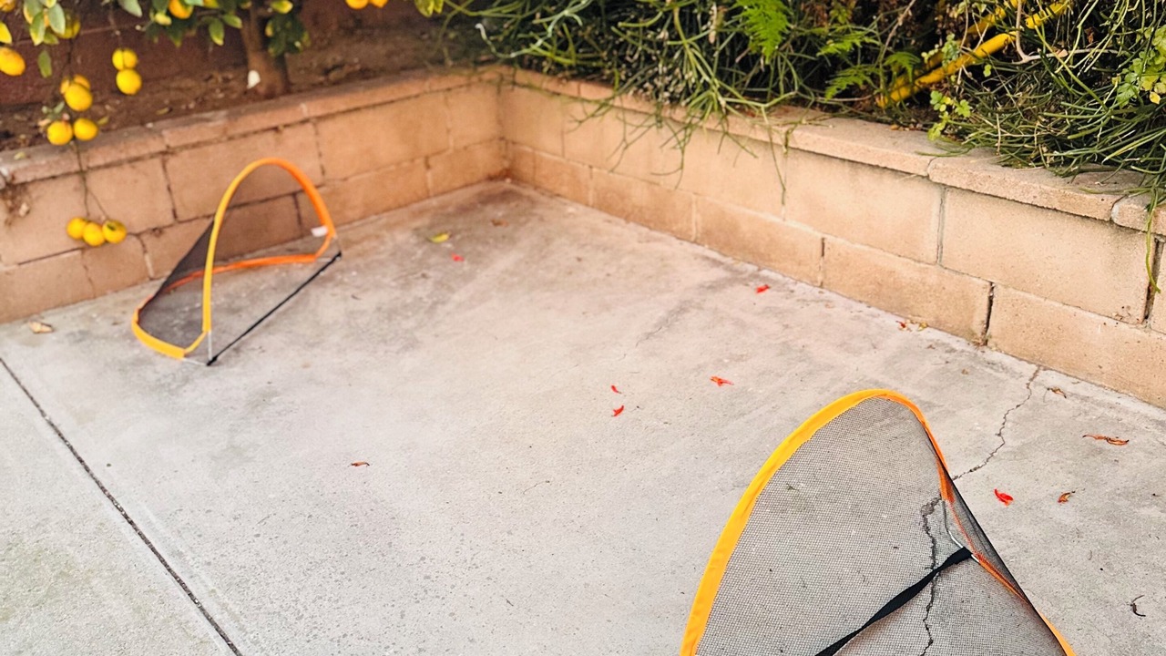 Photo of Outdoor in Northwest Anaheim