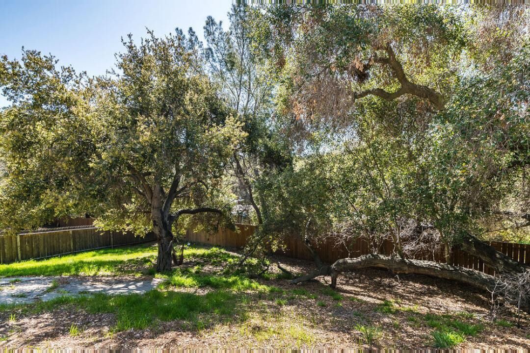 Photo of Outdoor in Topanga