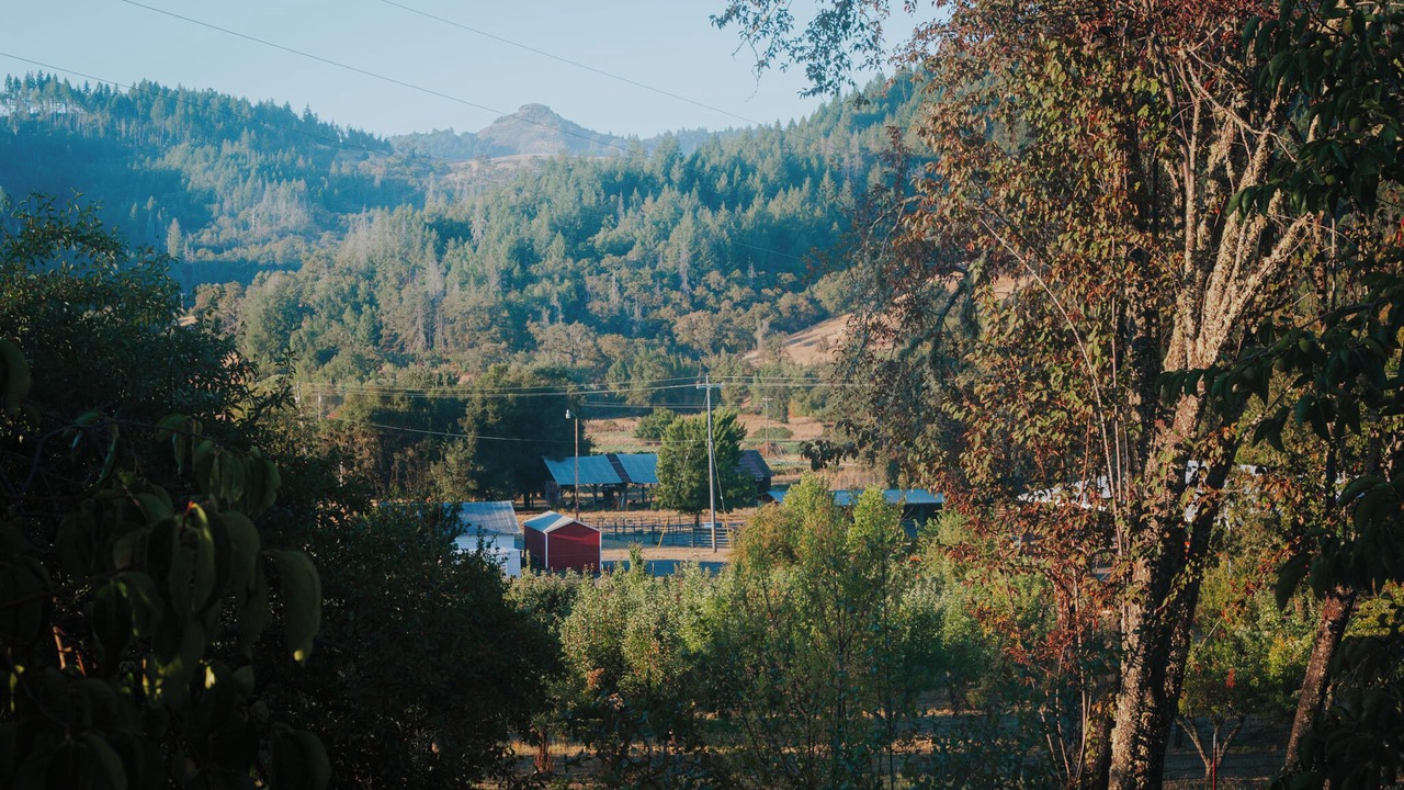 Photo of Others in Willits