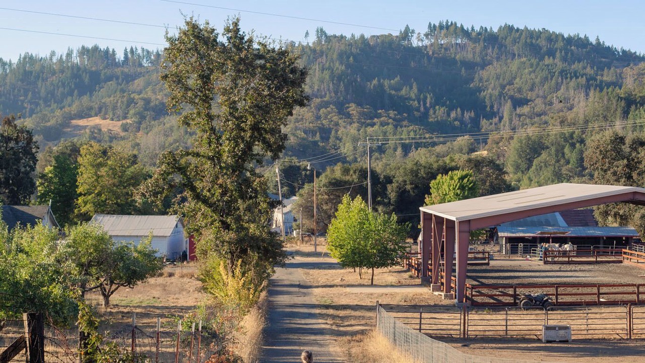 Photo of Others in Willits