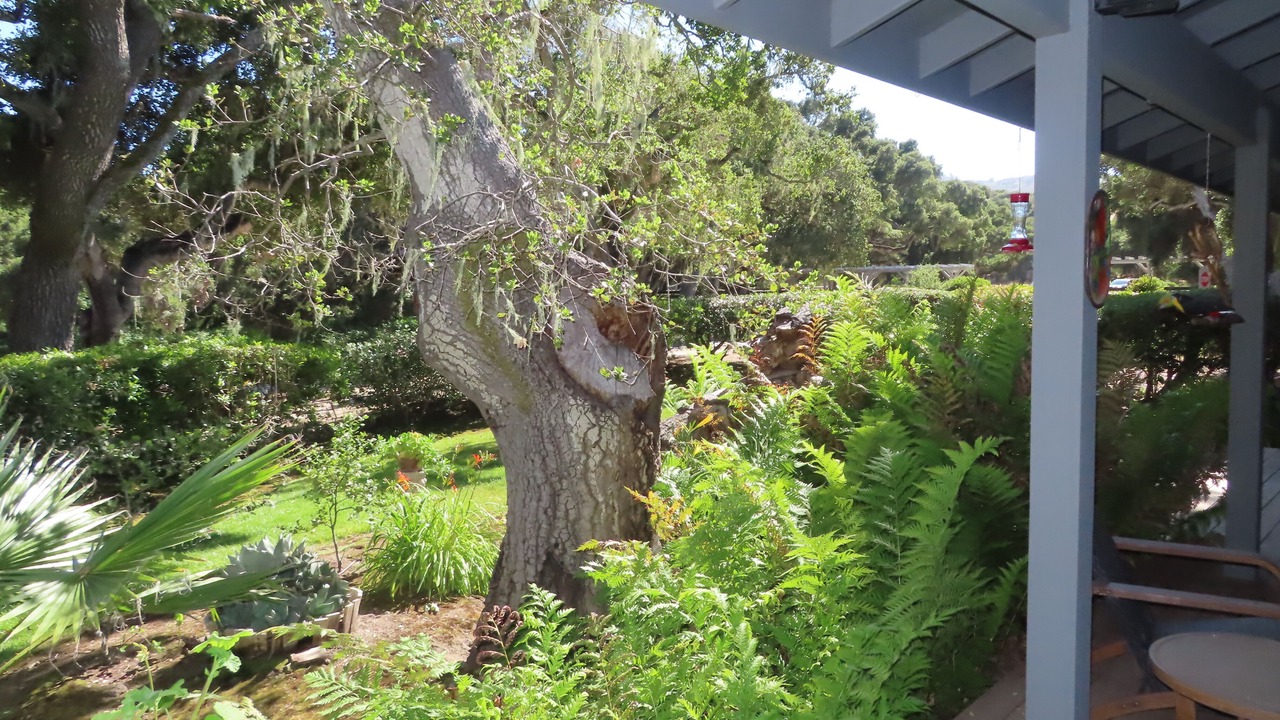 Photo of Outdoor in Salinas