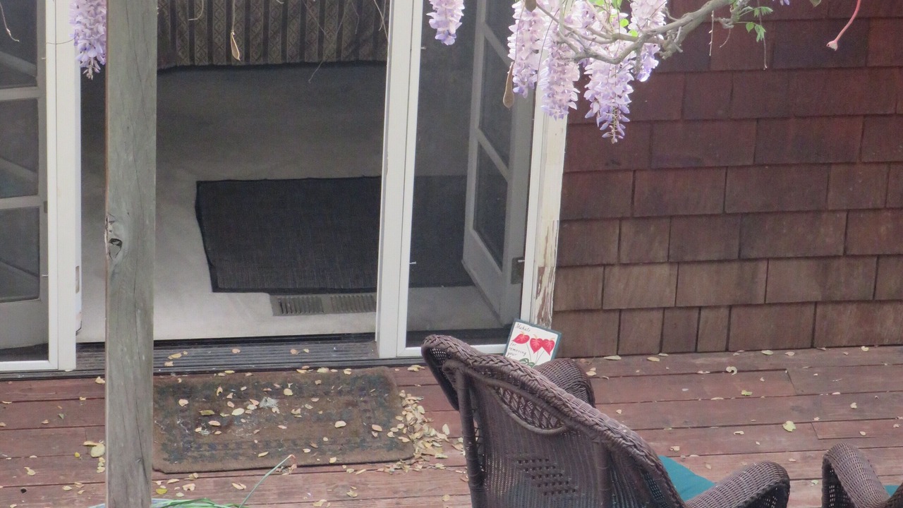 Photo of Outdoor in Fairfax