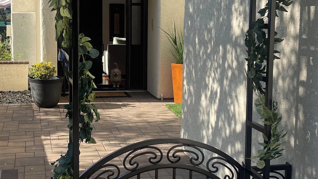 Photo of Outdoor in Lake Forest
