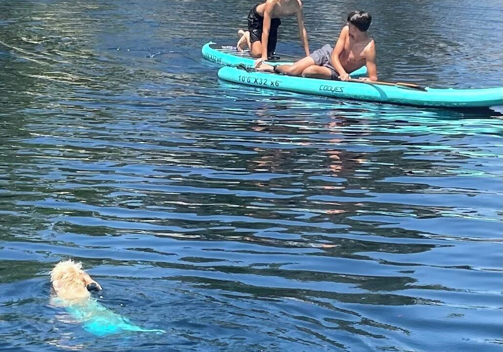 Photo of Others in Lake Forest