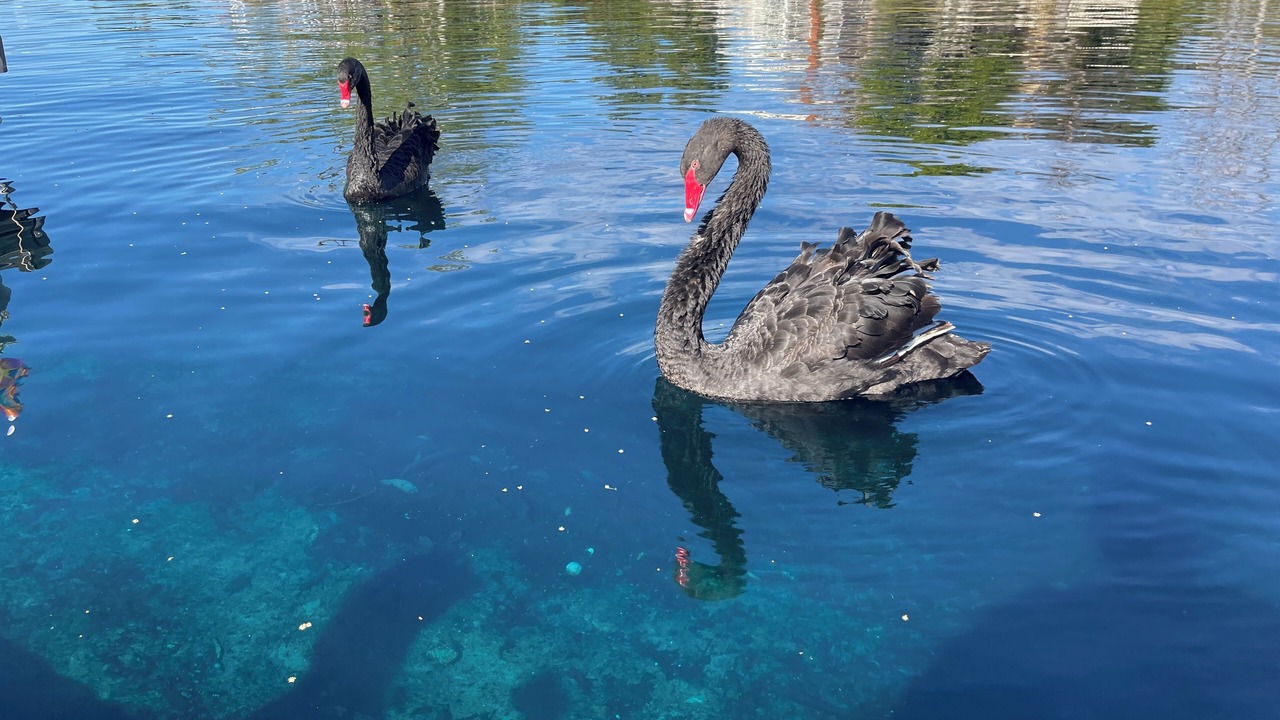 Photo of Others in Lake Forest