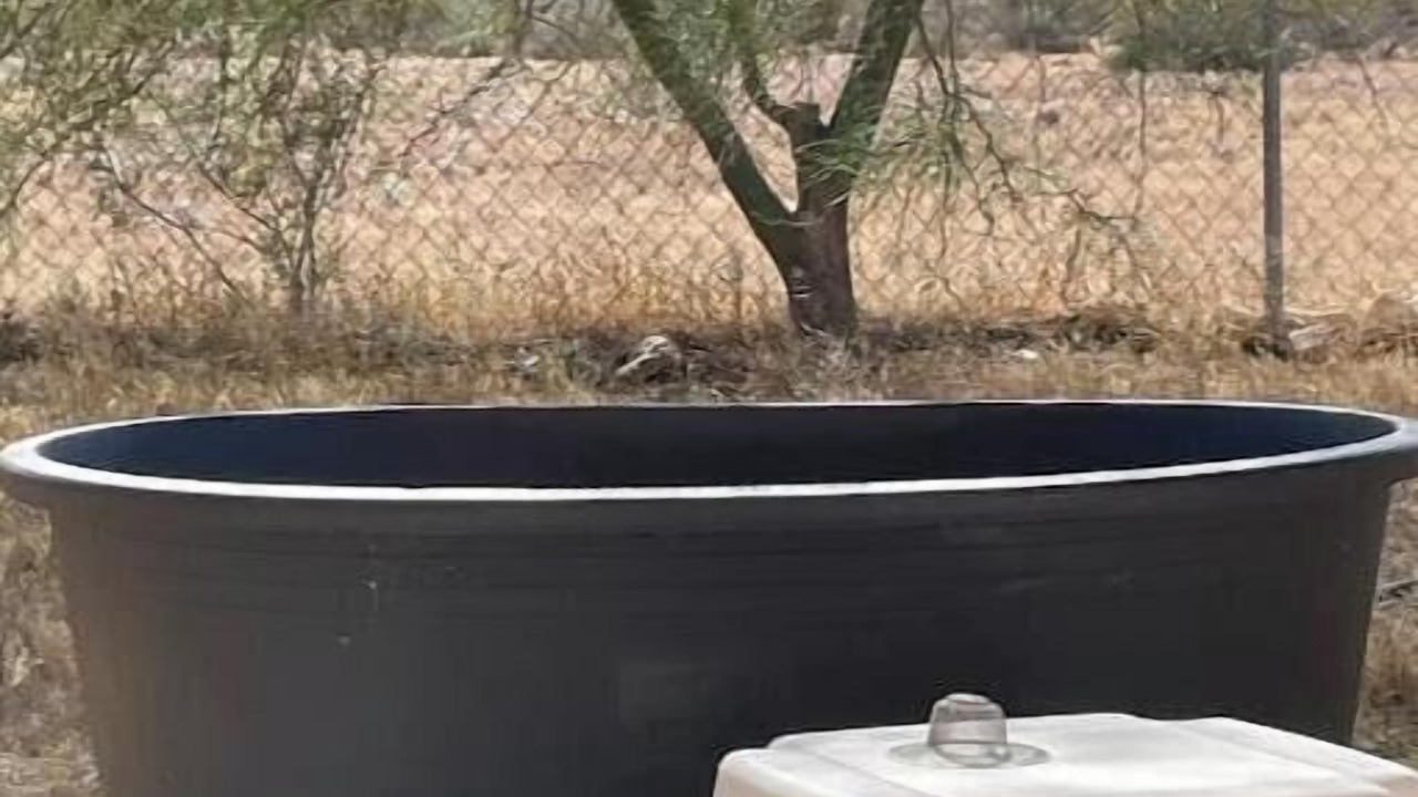 Photo of Outdoor in Landers