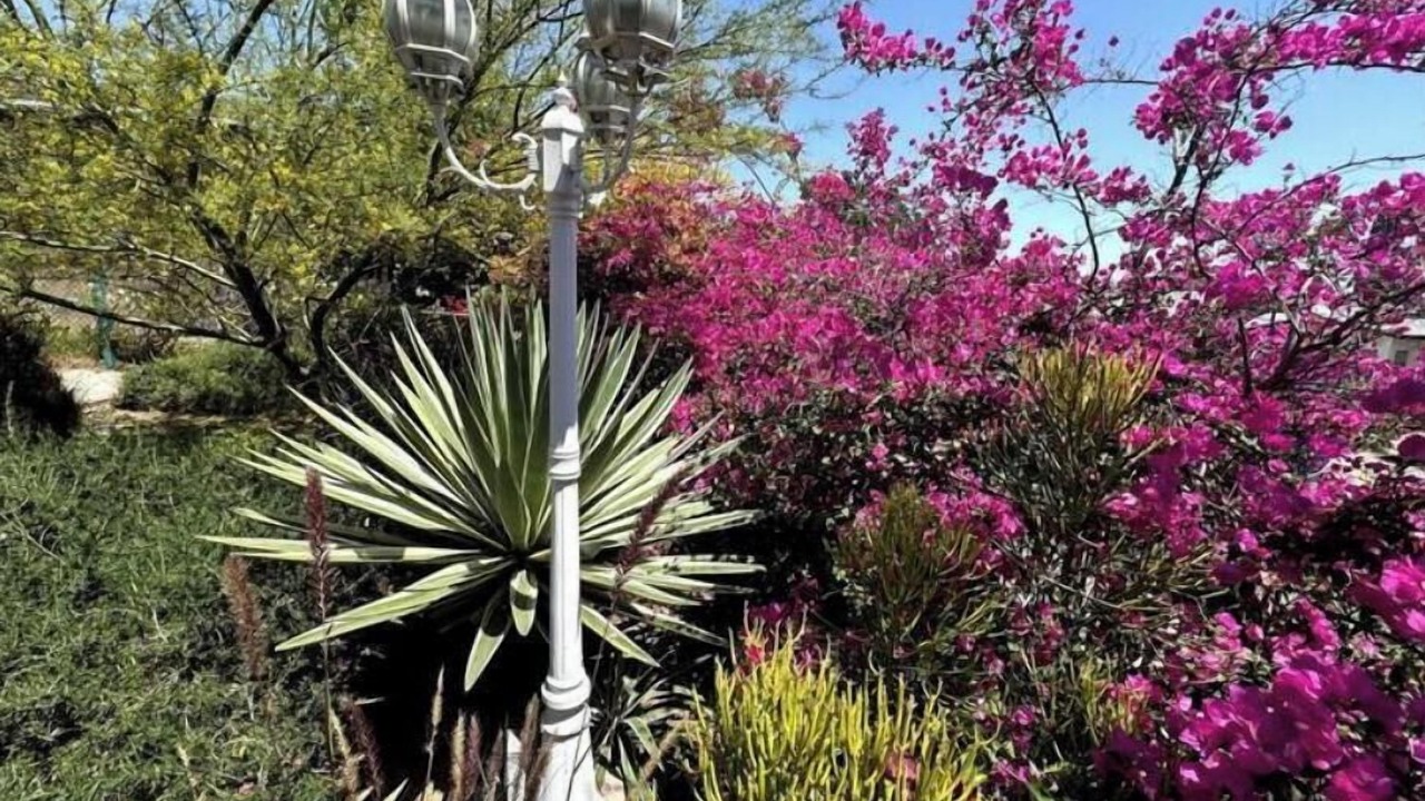 Photo of Outdoor in Eagle Rock