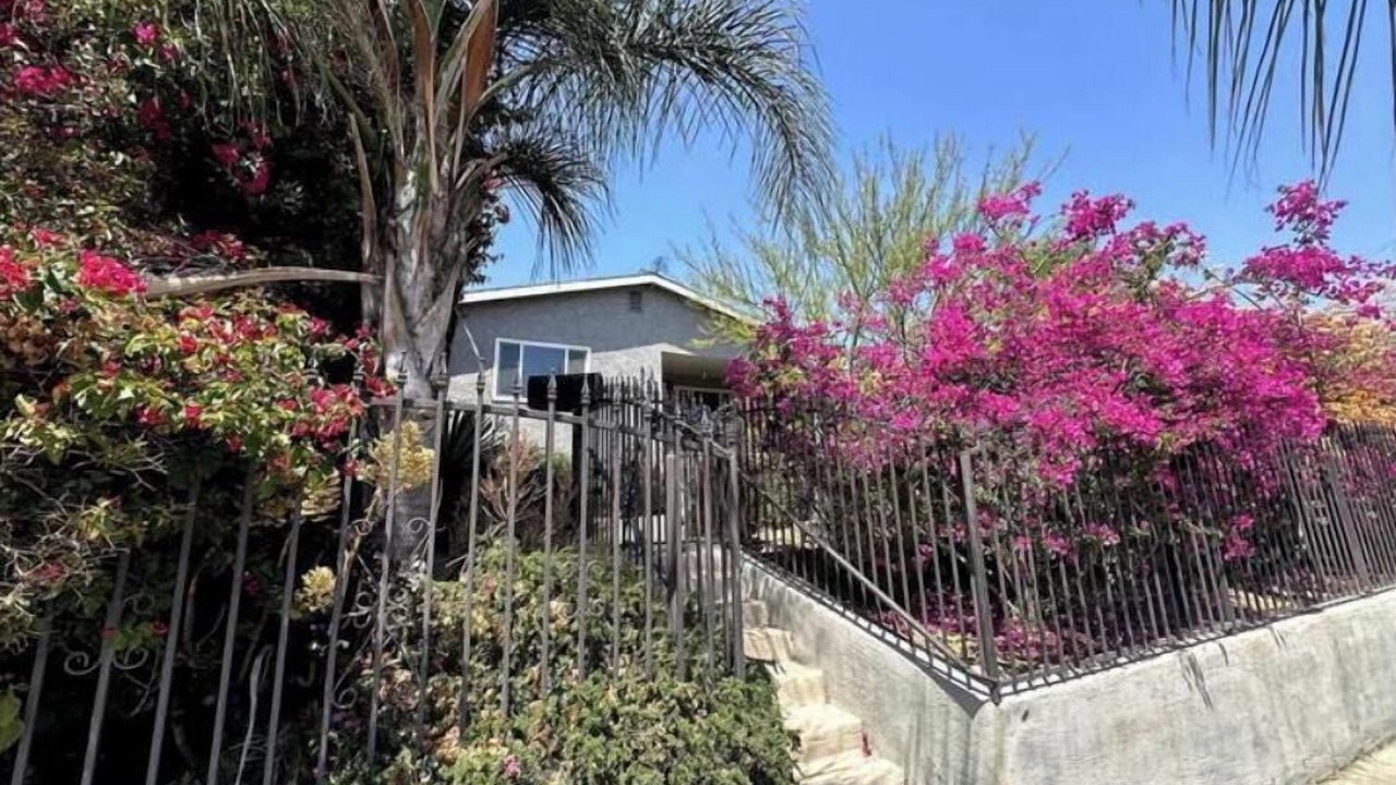Photo of Outdoor in Eagle Rock