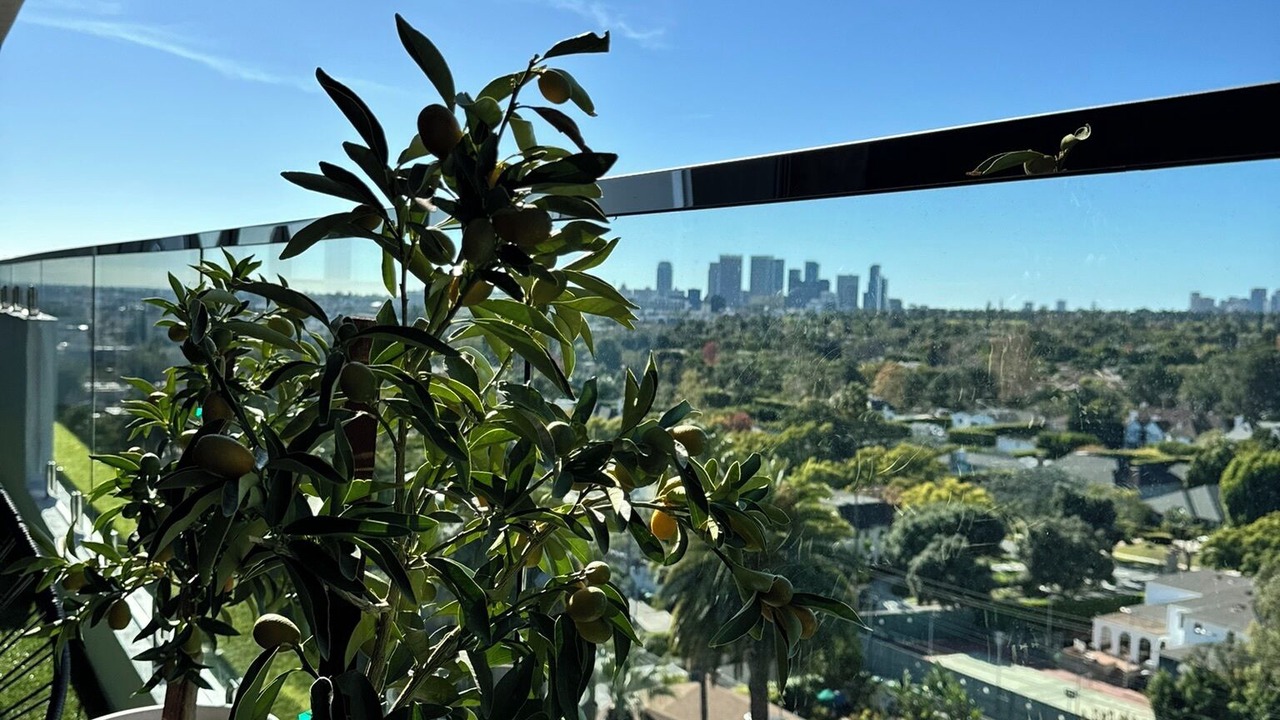 Photo of Outdoor in The Flats