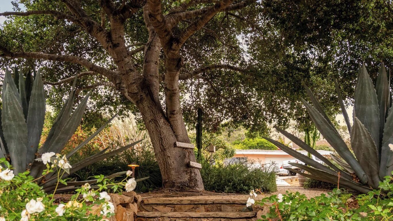 Photo of Outdoor in Olde Carlsbad