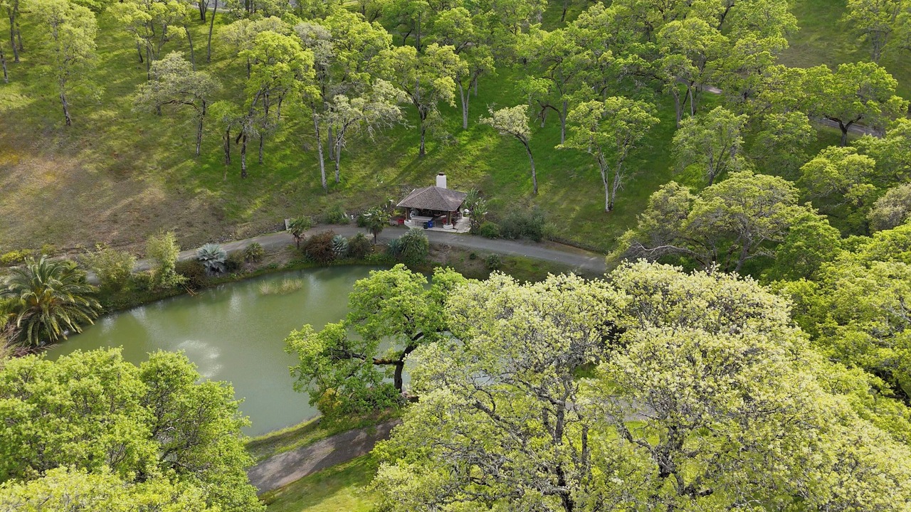 Photo of Outdoor in Nut Tree