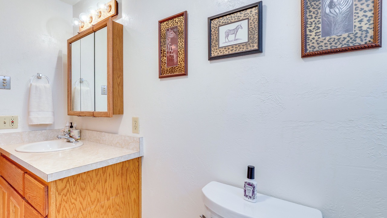 Photo of Bathroom in Idyllwild