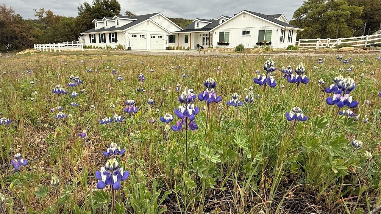 Photo of Outdoor in Murrieta