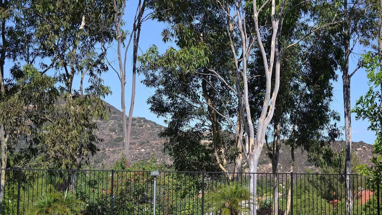 Photo of Outdoor in Murrieta