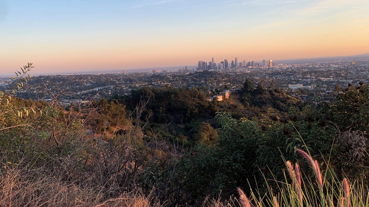 Photo of Others in East Hollywood