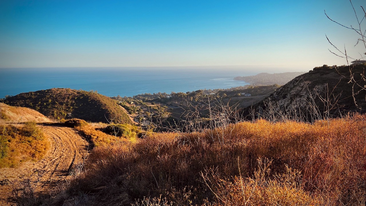 Photo of Others in Malibu