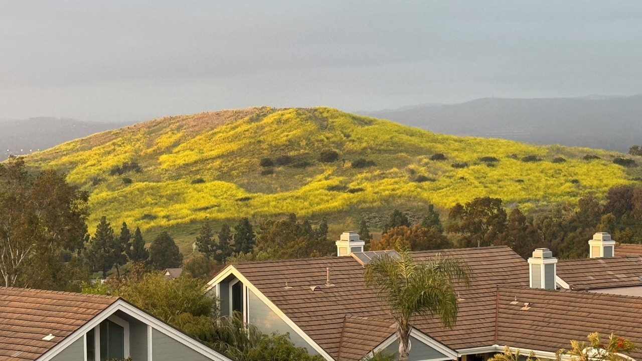 Photo of Outdoor in Turtle Rock