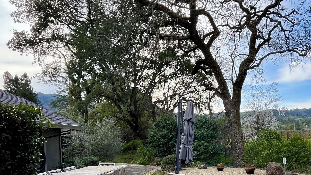 Photo of Outdoor in St. Helena