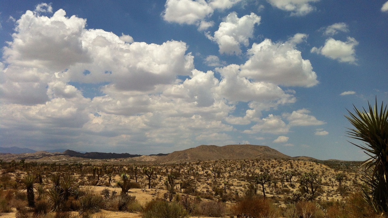 Photo of Others in Joshua Tree Highlands
