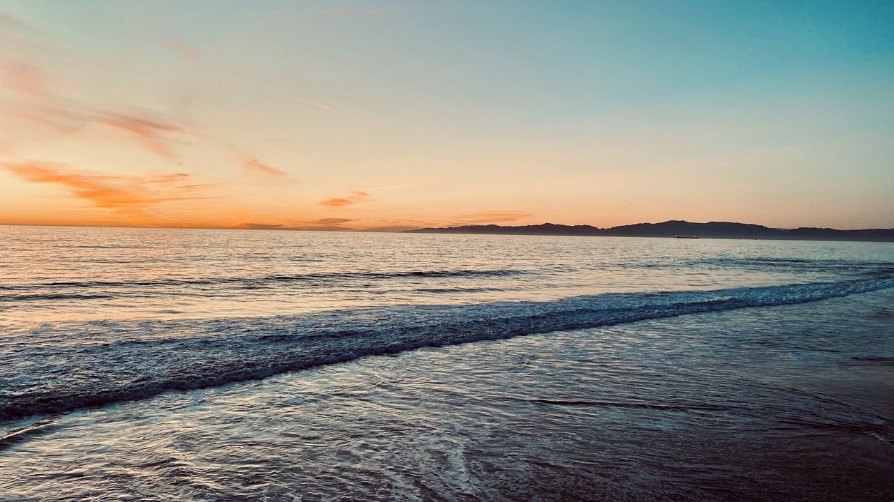 Photo of Others in North Redondo