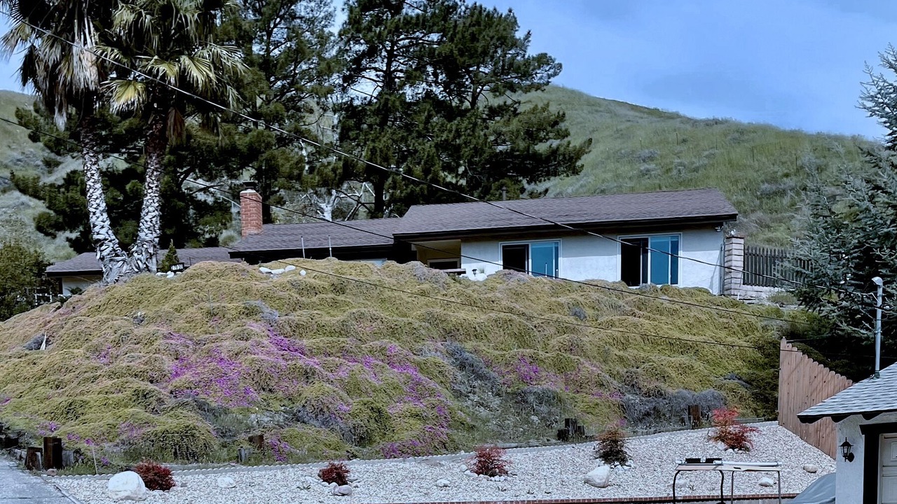 Photo of Outdoor in Canyon Country
