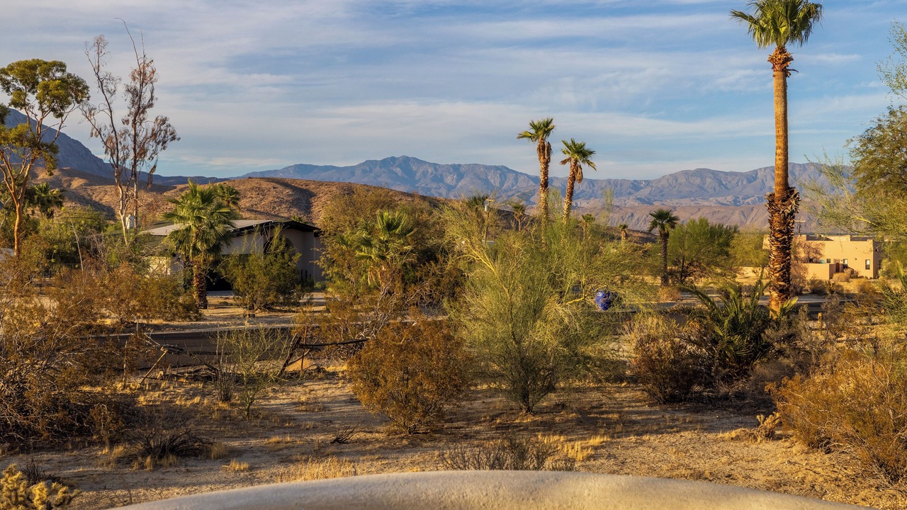 Photo of Others in Borrego Springs