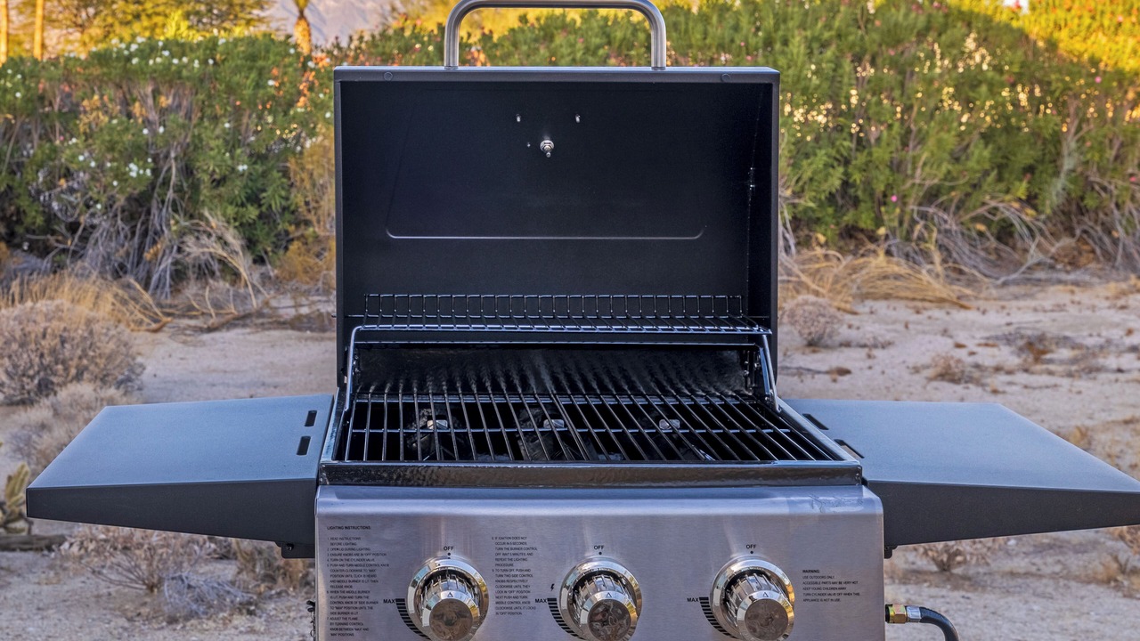 Photo of Outdoor in Borrego Springs