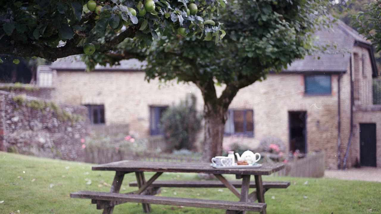 Photo of Outdoor in Minehead