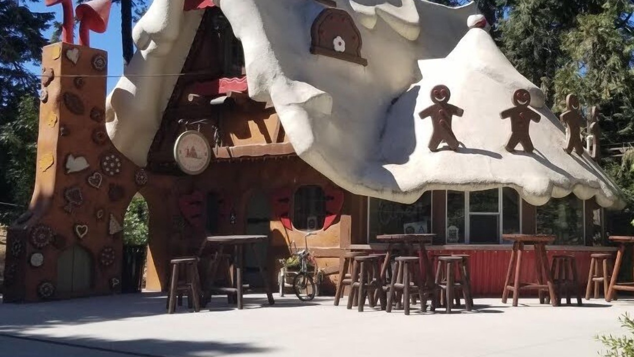 Photo of Others in Twin Peaks