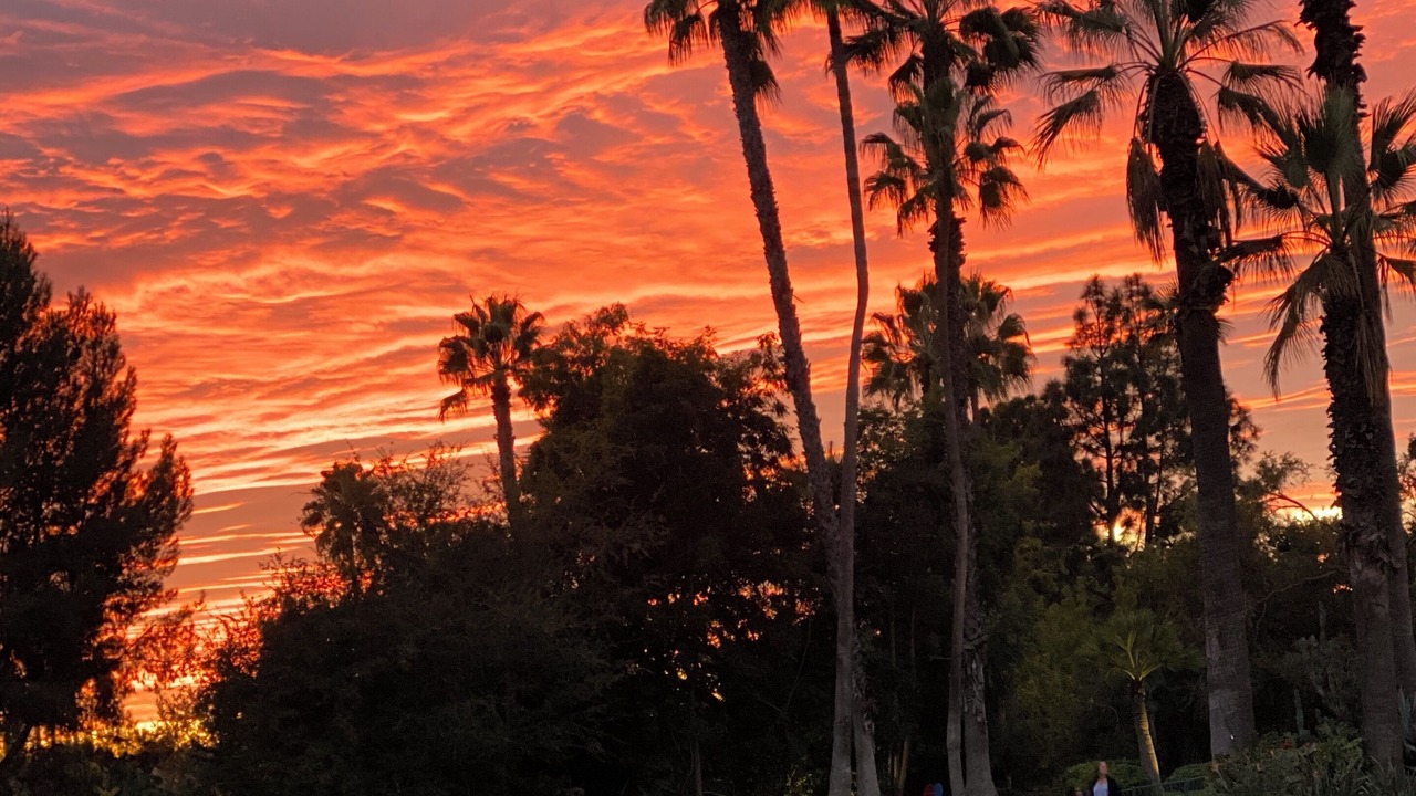 Photo of Others in Pasadena