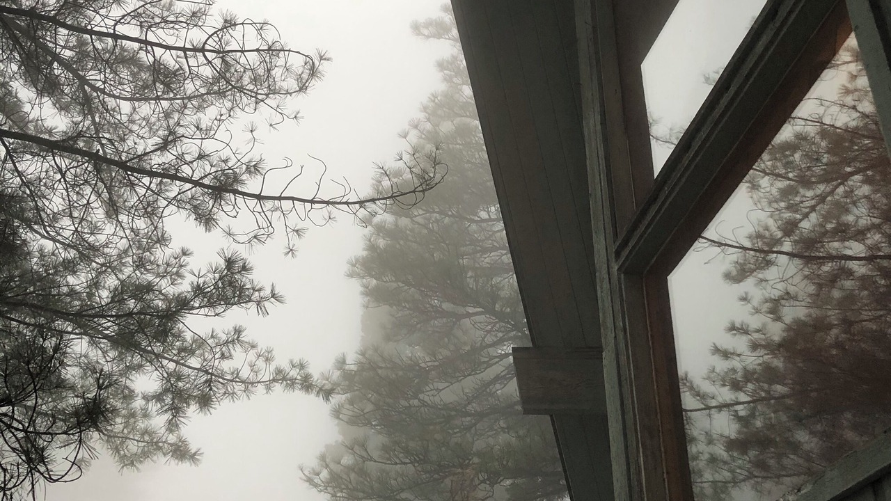 Photo of Outdoor in Blue Jay